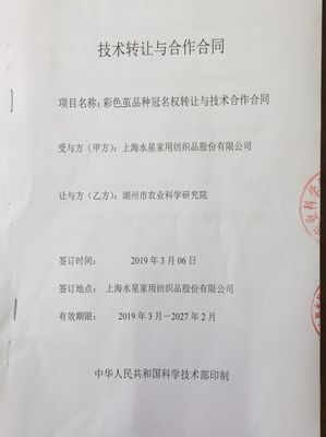 市農科院育種再獲新突破，多個新品種通過審定！技術轉讓開啟合作新篇章